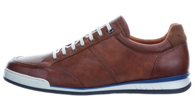 Trainer Magnus hellcognac